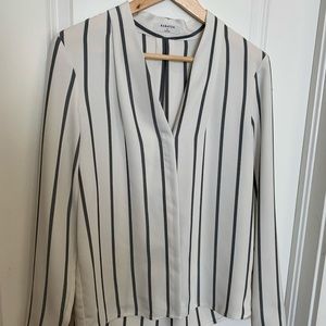 Aritzia long sleeve blouse